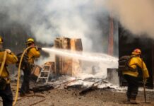 气候学家:今明年全球平均气温或创新高