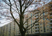 【周末观察】比利时严查海外有房产 国内吃救济的欺诈行为