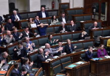 【周末深度】比利时民调:期待“强硬领导人”出现