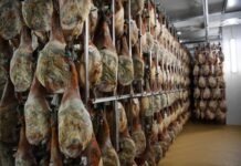 旱情致伊比利亚火腿减产