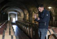 爱情、橡树和摇篮的故事,尽在酒中——探访斯洛文尼亚克莱特克尔什科酒窖