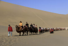 中国五一假期:多地大堵车 这里“堵骆驼”