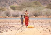 研究显示全球逾半数大型湖泊水库近30年间大幅缩水