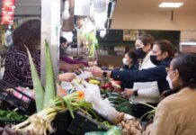 西班牙人口数量突破4800万