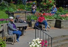 孤独成美国“流行病” 危害不亚于每天吸烟15根