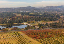 “气味伪装”可减少鼠害导致的种子损失