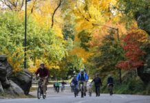 研究:临“绿”而居或让人更年轻