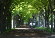 奥地利警方从右翼极端组织窝点查获大量武器