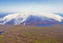 野火难控 加拿大魁北克省请求国际援助