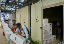 日本为何出现巨额贸易逆差