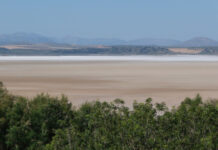 气温“爆表”+极端天气,今年重现厄尔尼诺可能性增加