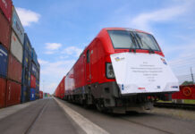 共话中国经济新机遇 | 中荷经贸人士共话新能源产业合作机遇