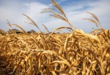 美国一县因极端天气起诉多家油企 索赔逾500亿美元