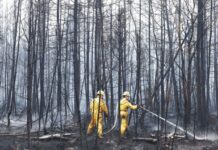 野火肆虐 加拿大野地消防员招聘难