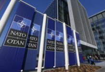 国内抗议再惹争议 瑞典加入北约进程又添不确定性