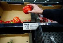 报告:去年七分之一英国人吃不饱