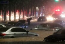 降低城市内涝和火灾风险 韩国首尔拟加大处罚乱扔烟头行为