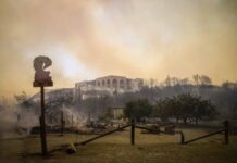 希腊多地野火蔓延 大量人员疏散