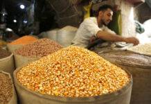 联合国会议呼吁推动农业粮食体系转型