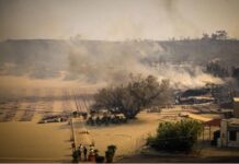 希腊多处野火肆虐 又有3人死于火灾