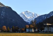 瑞士设置路边冰箱 减少食物浪费