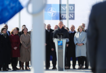 尽管美国很想 但瑞典今夏“入约”很难