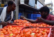 极端天气致印度西红柿价格飙升