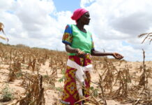 联合国报告:全球饥饿人口较疫情前增加1.22亿