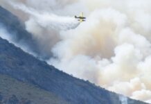 西班牙海岛林火导致2500余人疏散