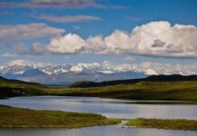 美国阿拉斯加州南部海域地震修正为7.2级