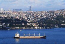 俄罗斯停止执行黑海农产品外运协议