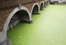 废水分析显示英国可卡因愈加泛滥