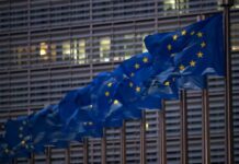 法国总统质疑欧盟任命美国经济学家出任关键职位