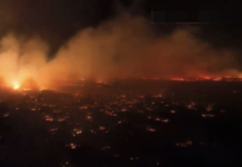 野火已致55人丧生 夏威夷损失惨痛