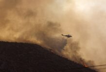 希腊东北部野火导致18人死亡