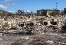 夏威夷野火已致超1100人失踪