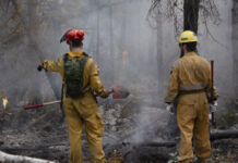 加拿大西北地区首府受森林大火威胁