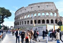 意大利全力应对古罗马竞技场鼠患