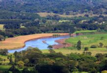 通讯:受气候变化影响的哥斯达黎加云雾森林