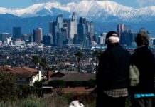 三天两起 “快闪暴徒”白日打劫洛杉矶奢侈品店