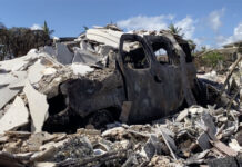 美国夏威夷州因野火遇难人数过百