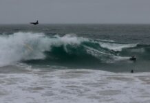 热带风暴“希拉里”北移 美国加州灾后清理
