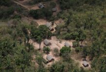 亚马孙雨林面临干旱 巴西约50万人或受影响