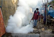 逾600人病亡 孟加拉国登革热疫情严重