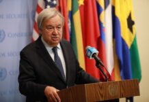 联合国秘书长呼吁促进非洲和平、稳定与民主