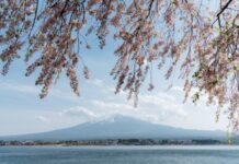 富士山人满为患