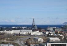 冰岛恢复捕鲸 过半国民反对