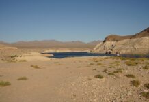 沙漠降暴雨 数万人受困美国“火人节”营地