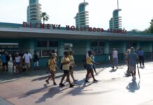 黑熊现身美国奥兰多迪士尼世界 已被捕获