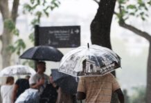 白纹伊蚊滋生致法国登革热病例频发